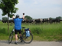 Hallo Freunde